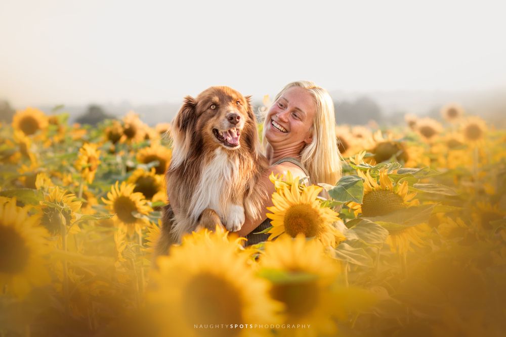 A girl and her dog standing in a beautiful sunflower field at Laura's Farm Stand in Simcoe County near Barrie.