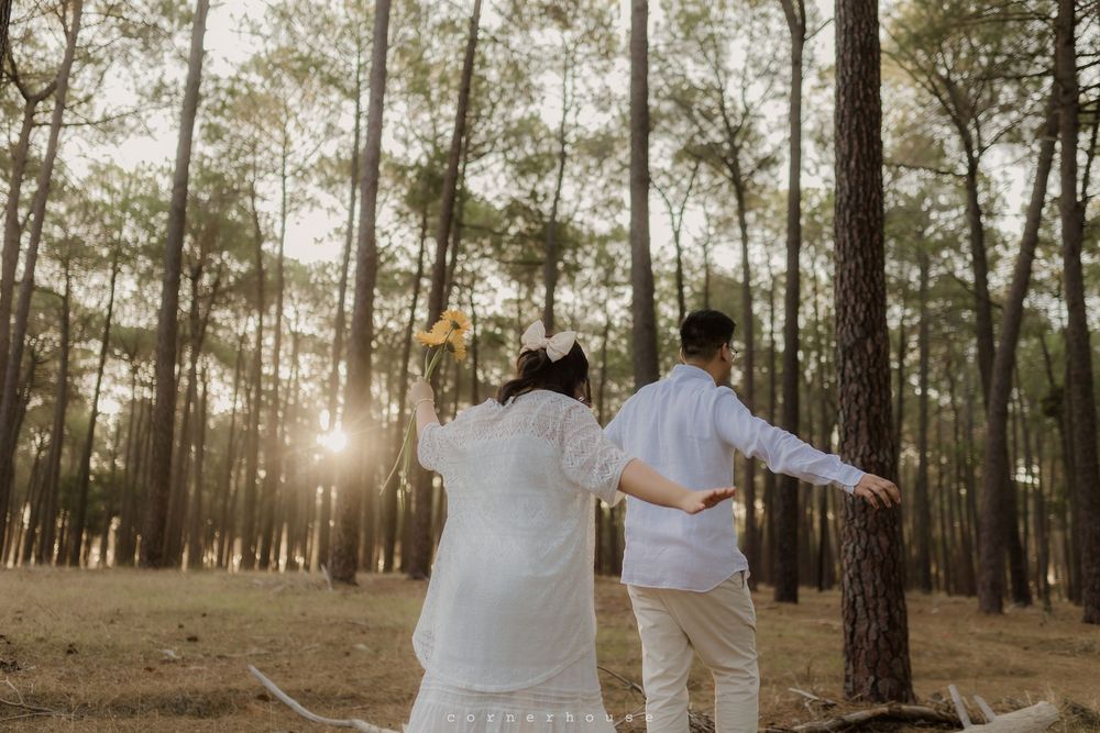 Couple exploring a dreamy pine forest at golden hour with sunlight streaming through the trees.