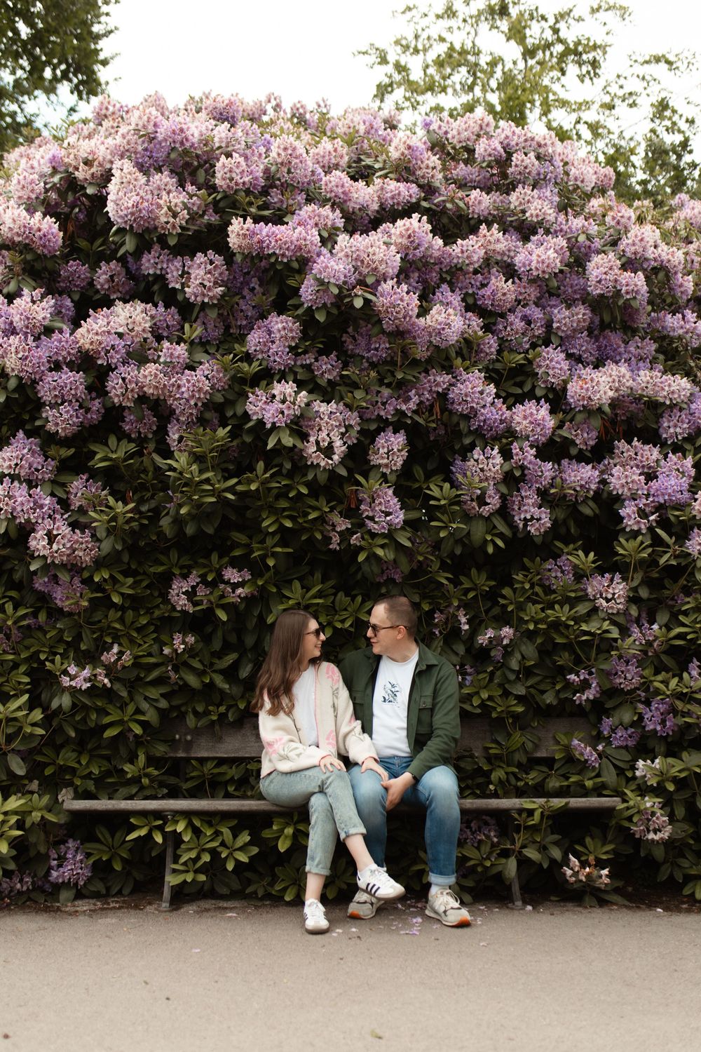 Two people sit together on a bench beneath a stunning display of blooming purple lilac bushes in a garden setting. Temple Newsham Leeds.