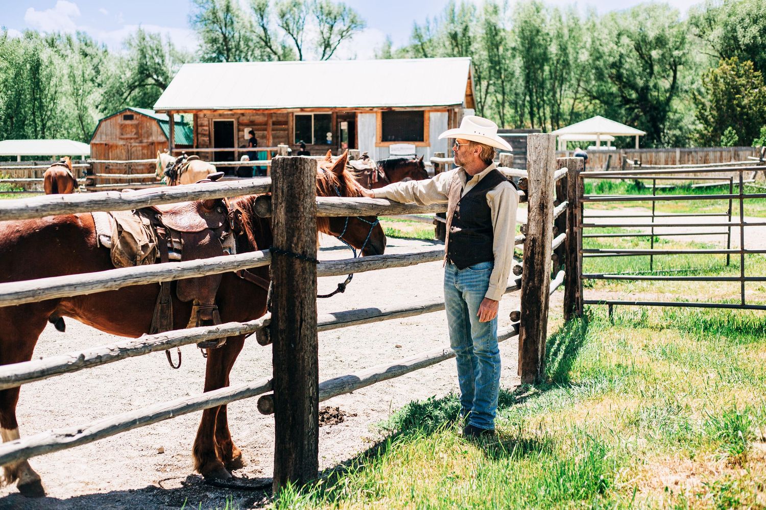 Cowboy in white hat petting brown horses at a ranch corral fence with log cabin in background.