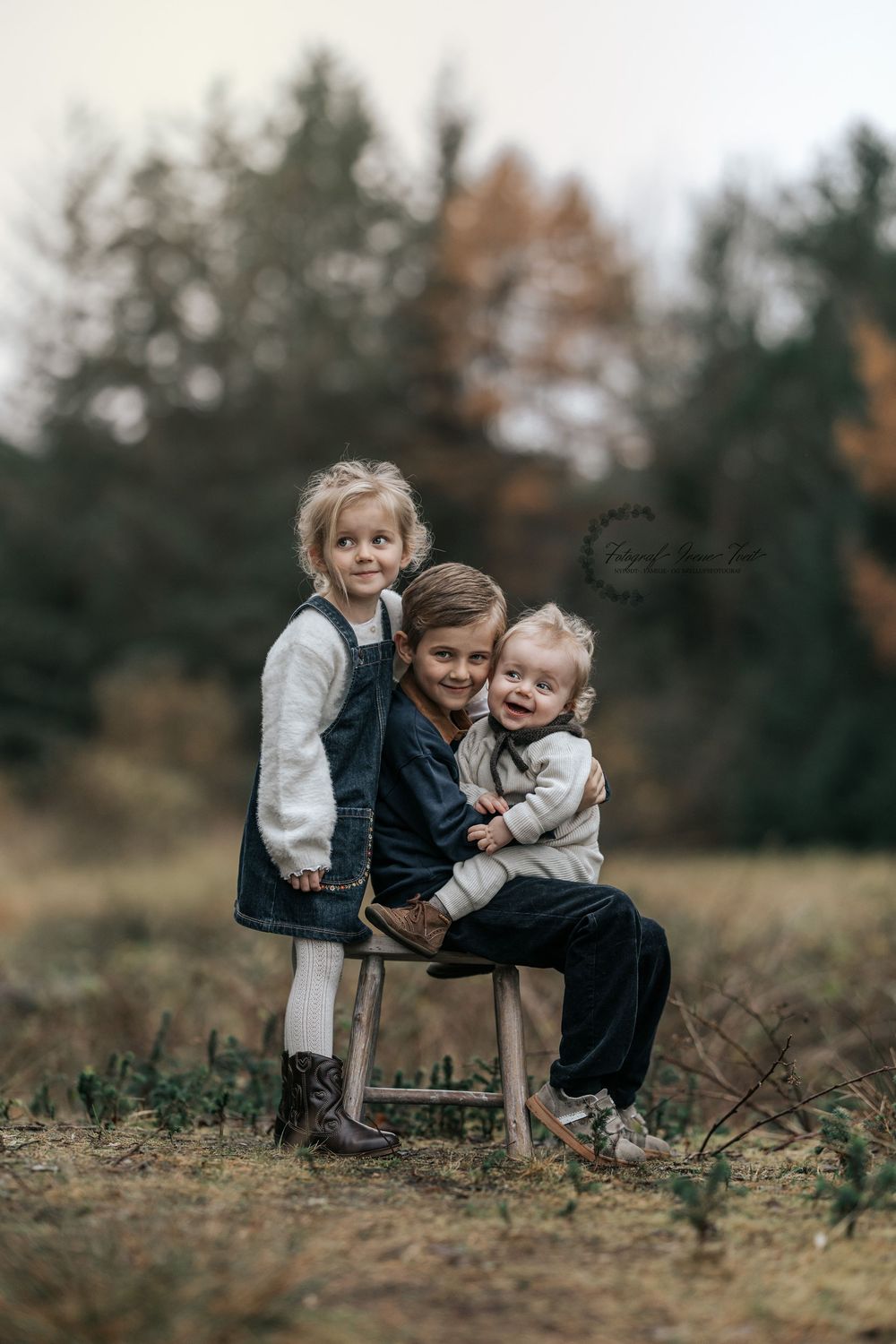 familie søsken fotografering i kopervik, fotograf irene tveit fotograferer magiske søskenbilder  på haugalandet, 3 barn på en kasse i skogen
