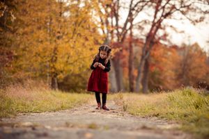 A scenic autumn engagement photoshoot in a park with golden fall foliage and natural light.