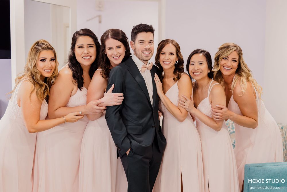 Wedding party poses together in formal attire with bridesmaids in blush pink dresses and groomsmen in dark suits.