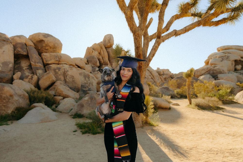 Person in rainbow-striped outfit stands near Joshua trees and rock formations in desert park landscape.