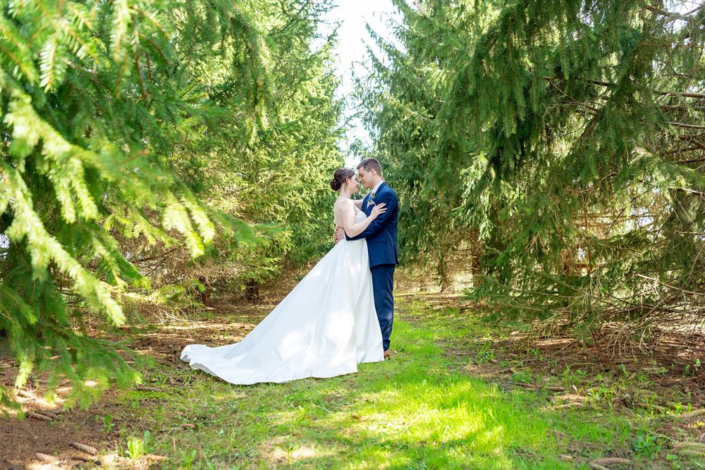 Wedding photography sequence in a lush green garden setting with evergreen trees at Bellamere Winery And Event Centre in London.