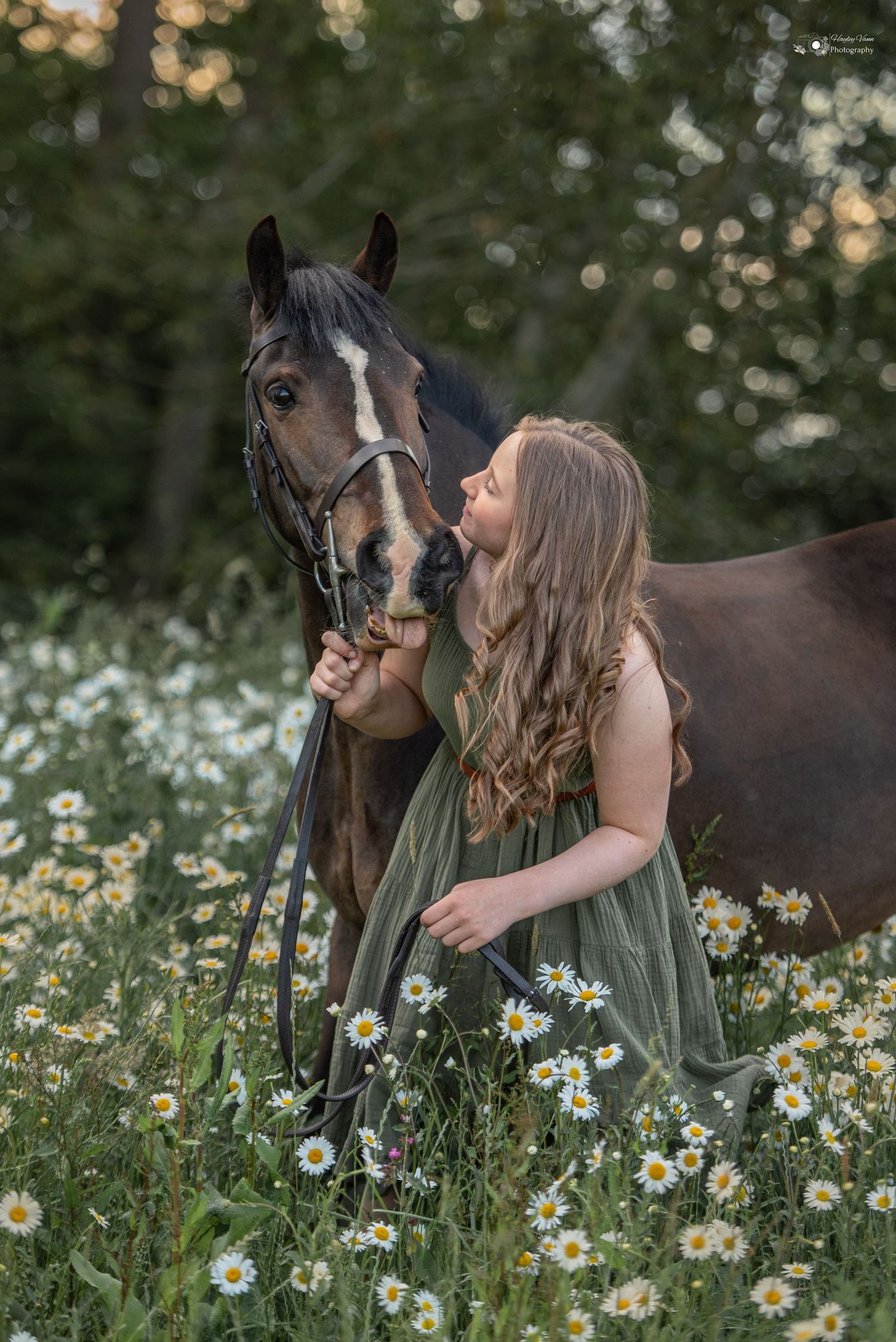 Worcestershire Horse Photographer