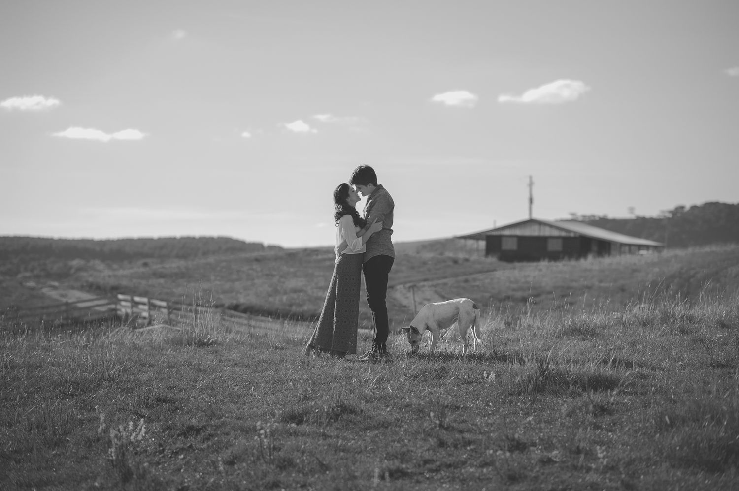 A romantic moment shared on a rural hillside with a dog nearby.