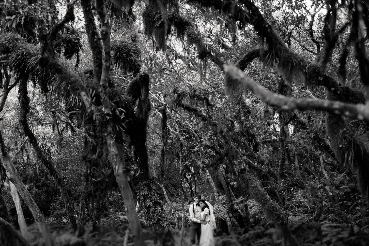 A couple embraces in a mystical forest setting with hanging moss and intertwined branches creating a dramatic scene.