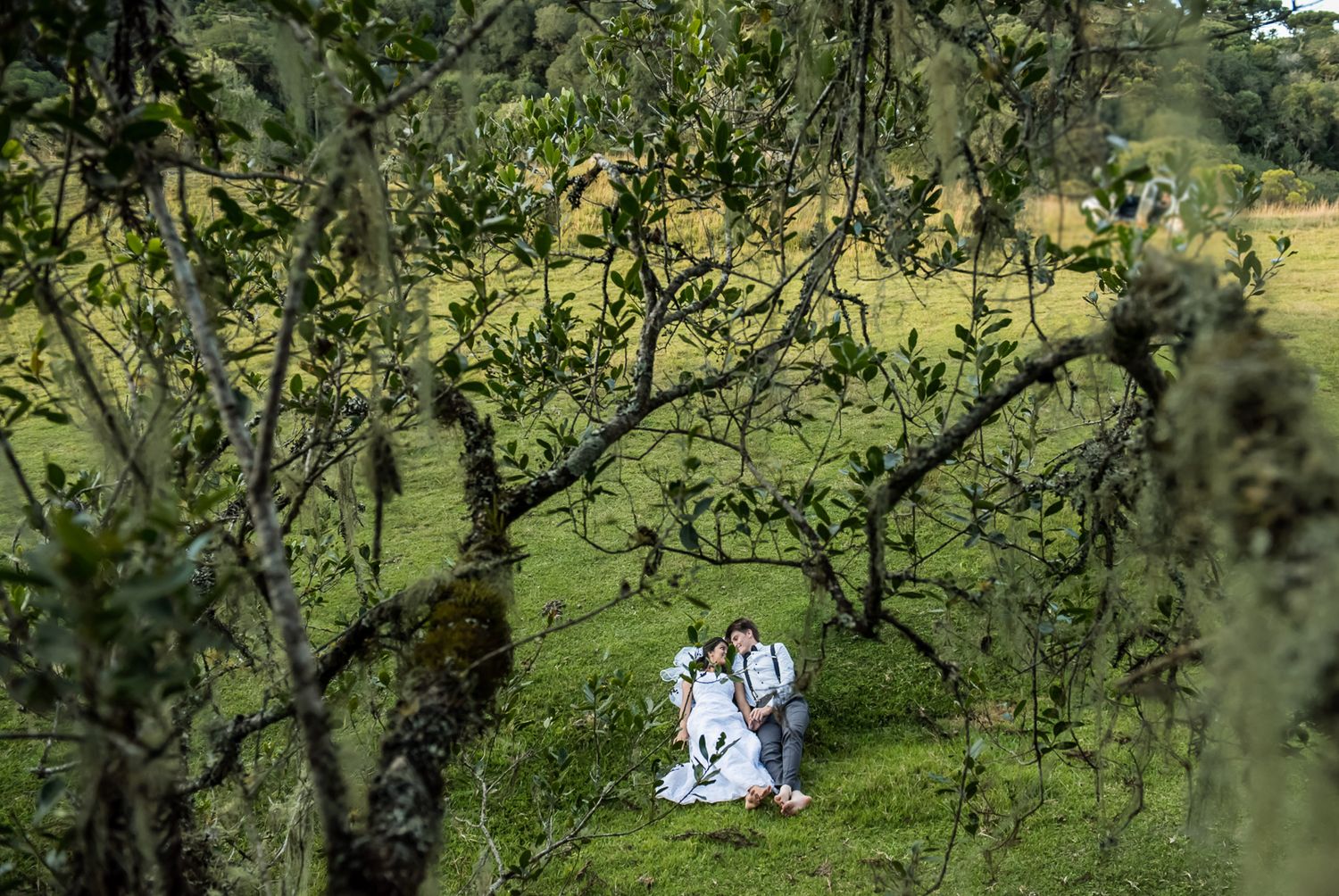 A couple sits in a lush orchard surrounded by fruit trees and green grass.
