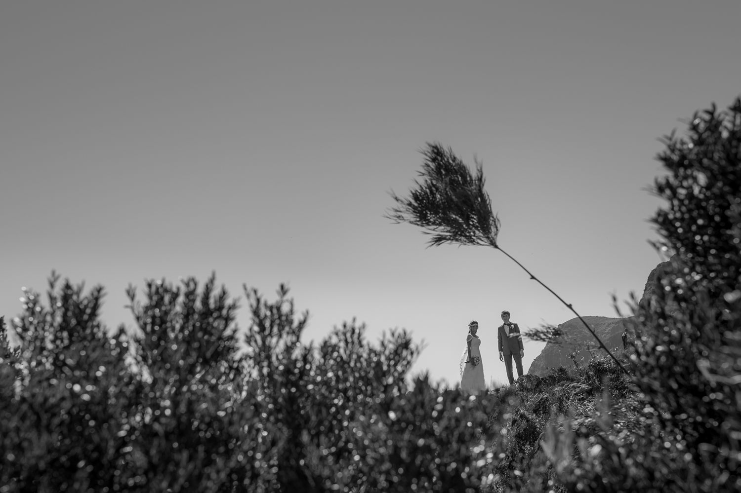 Two silhouettes stand on a hill with a bent tree branch in the foreground.