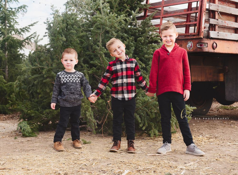 Three young boys holding hands and smiling at a Christmas tree farm with a red truck in the background.