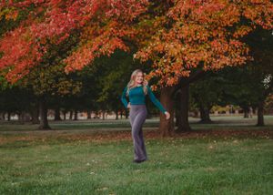 Autumn trees with bright red and orange leaves line a grassy path in a park setting.