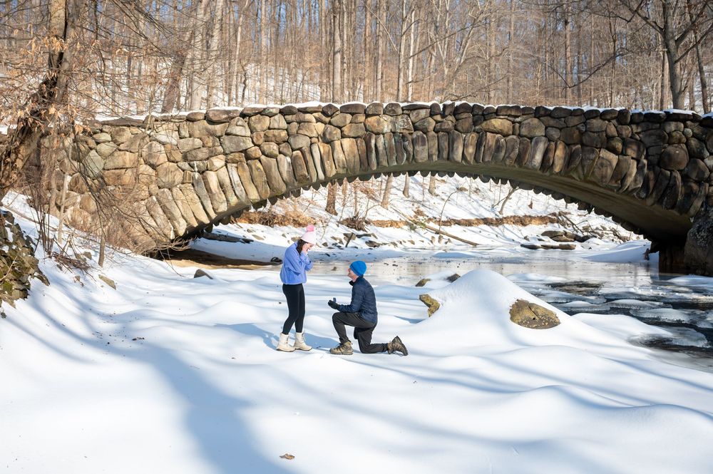Washington DC Surprise Proposal Photographer