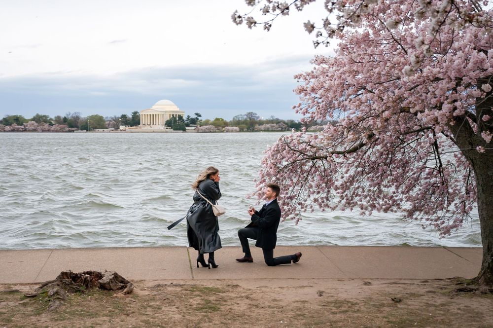 Washington DC Surprise Proposal Photographer