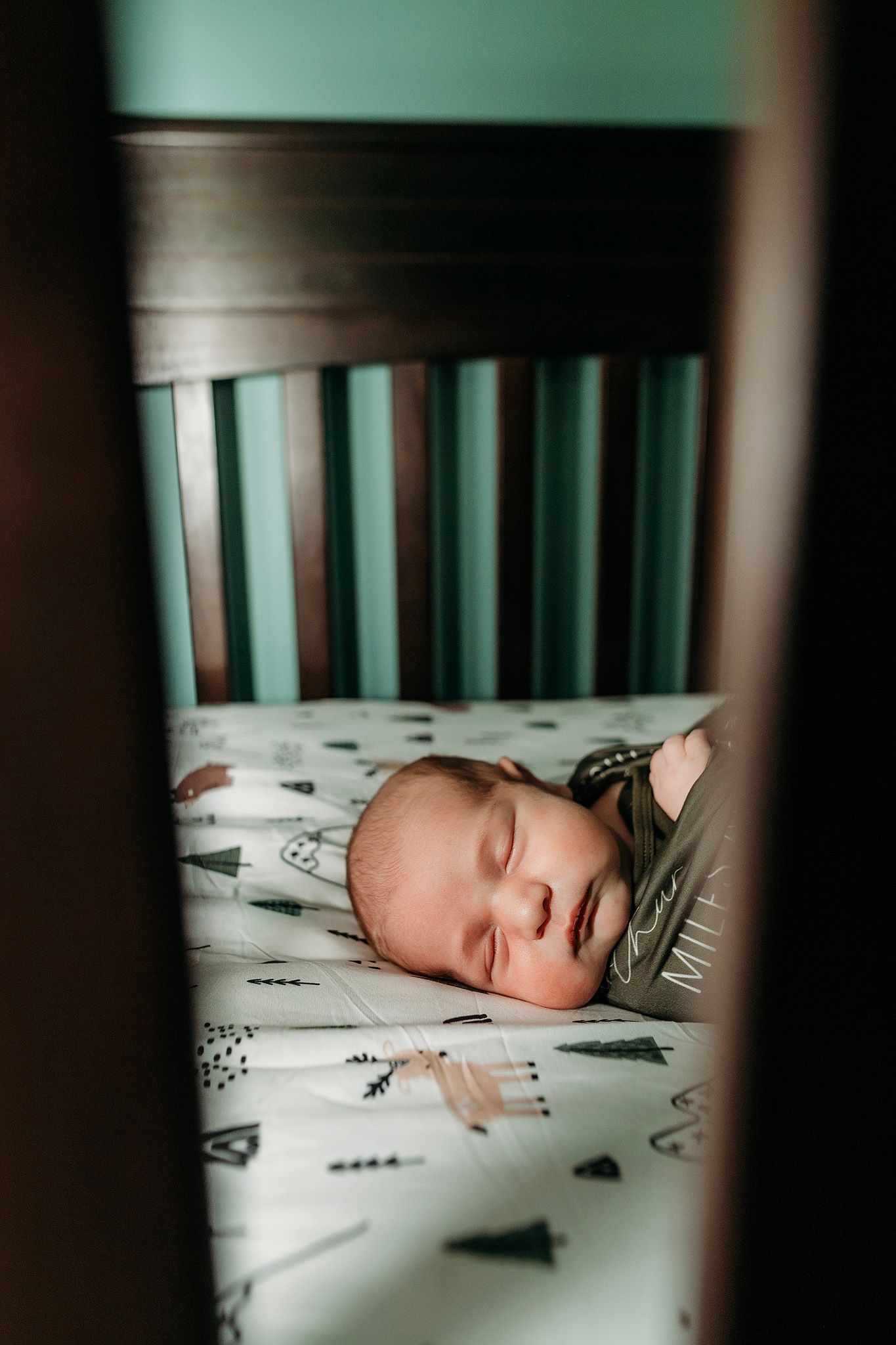 Fenton Michigan Newborn Photographer
