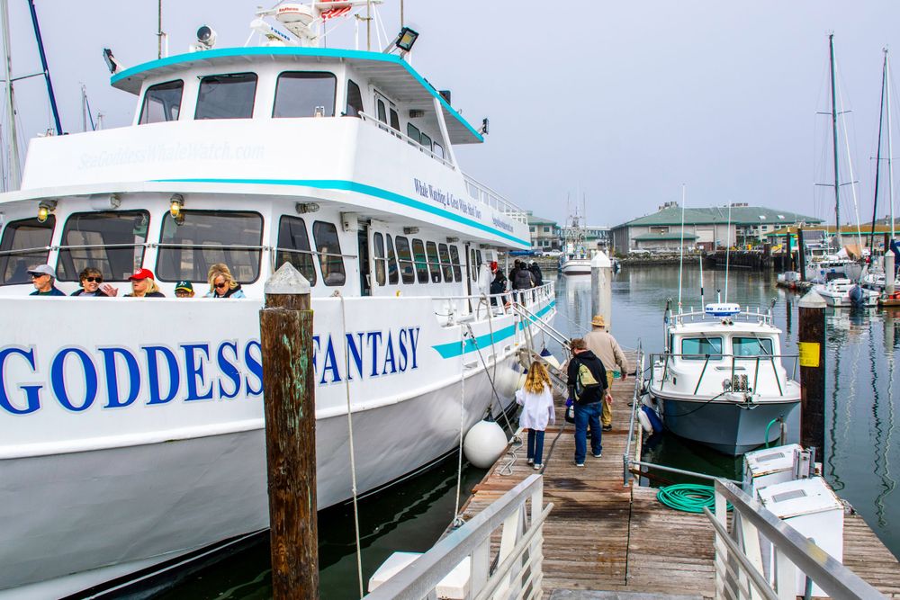 Tour boat named Goddess Fantasy docked at a marina with passengers boarding.
