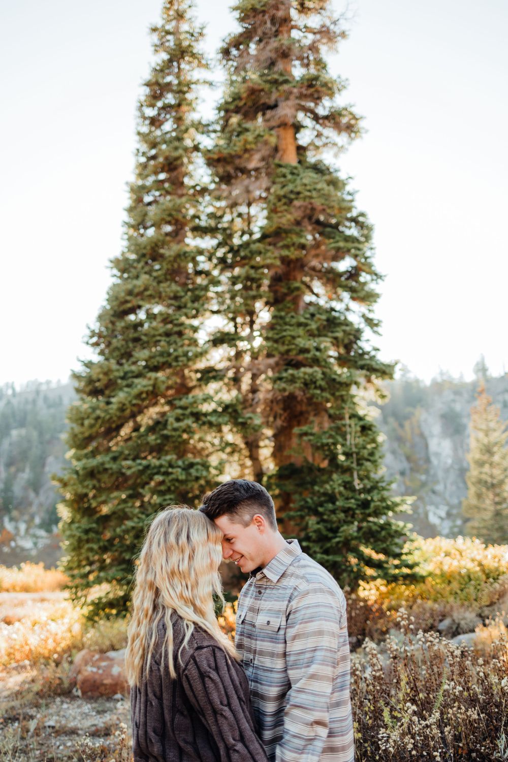 Northern Utah Couple Mountain Pine Tree