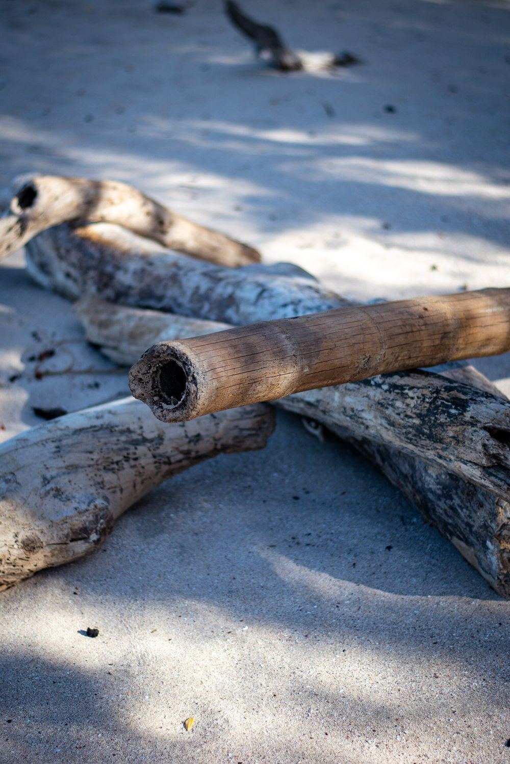 Weathered driftwood logs casting shadows on sandy beach.