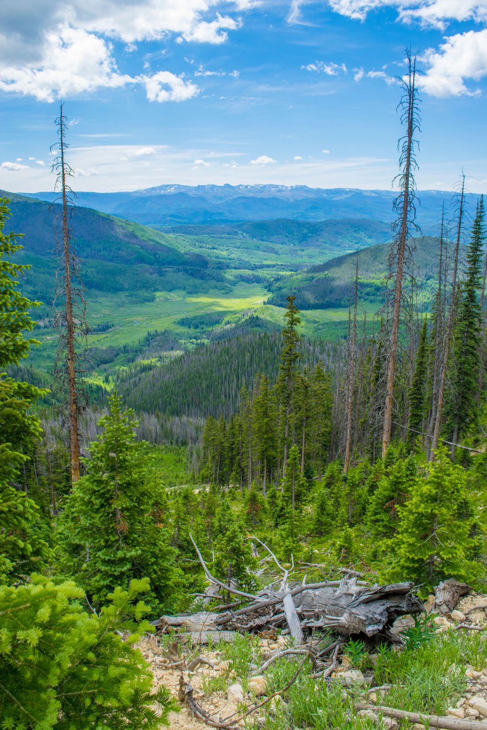 Sweeping mountain valley vista with green forests and distant blue peaks under puffy clouds.