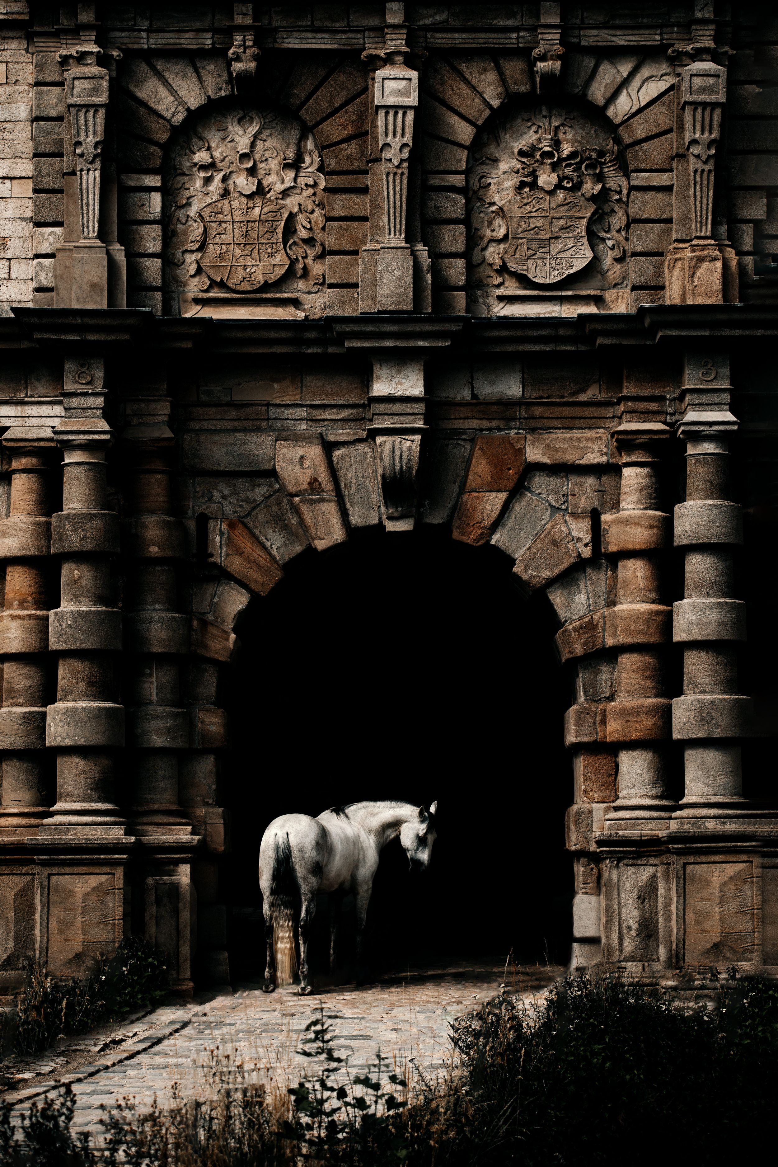 A white horse stands silhouetted in a grand stone archway with ornate architectural details above.