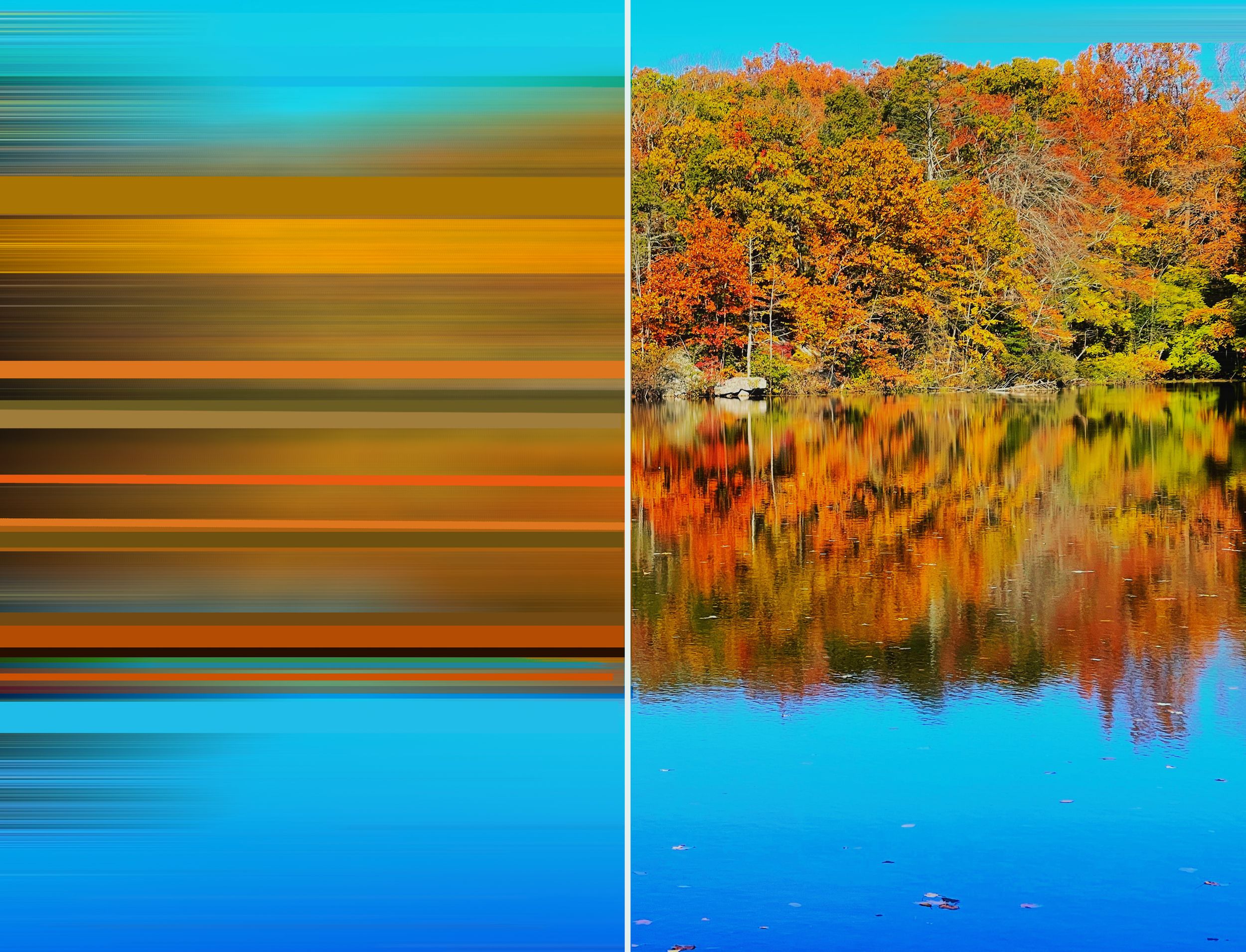 The Fall Diptych work is part of a series of diptychs, capturing moments in nature and how we perceive landscapes while moving.