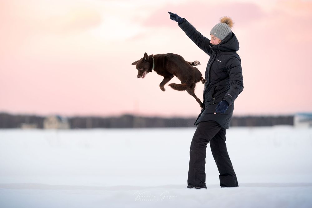 A woman sitting on the ice with a black and white dog next to a frozen waterfall.