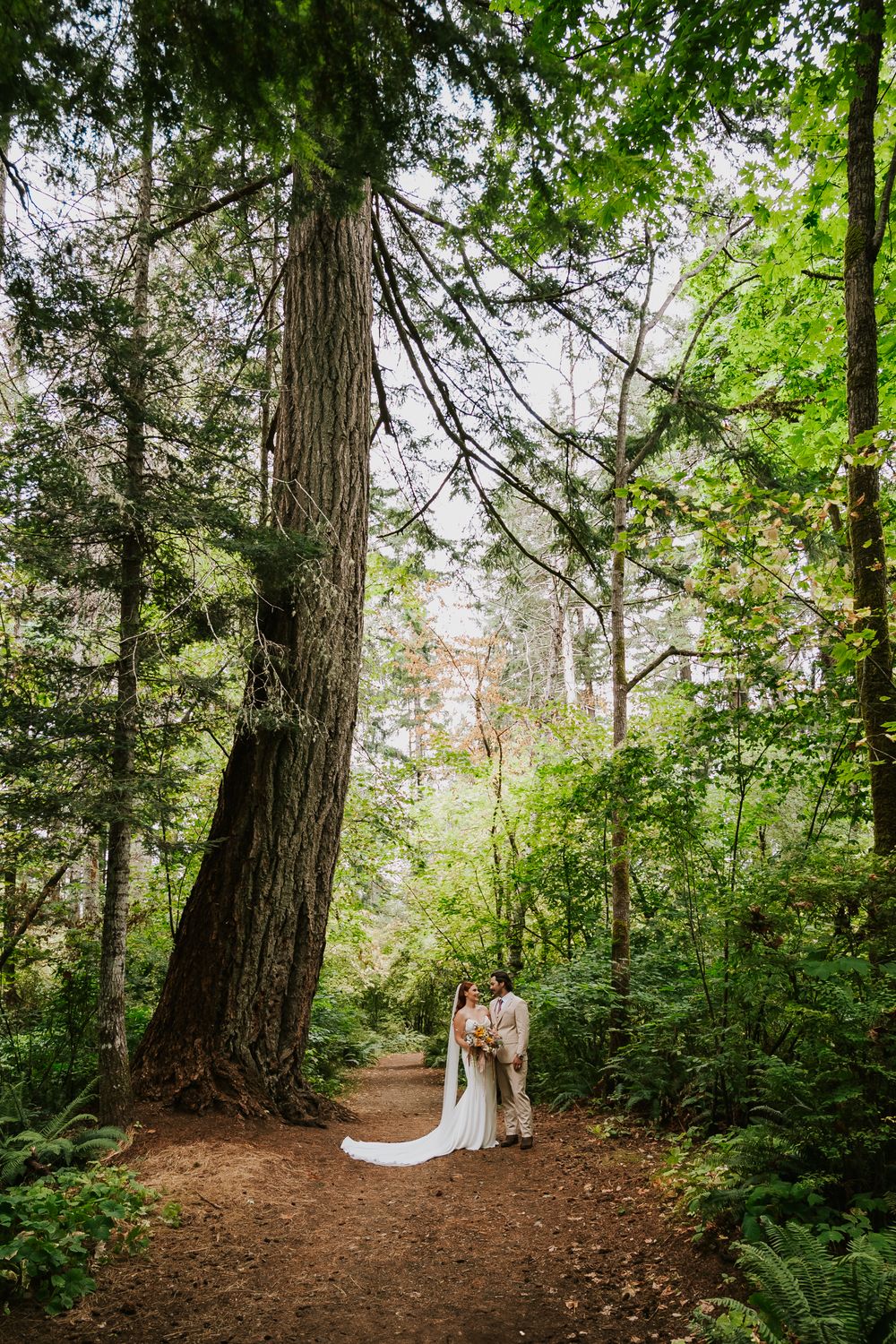 Vancouver Island Wedding photographer photography of couple in Miracle Beach forest between large evergreen trees for bridal photos