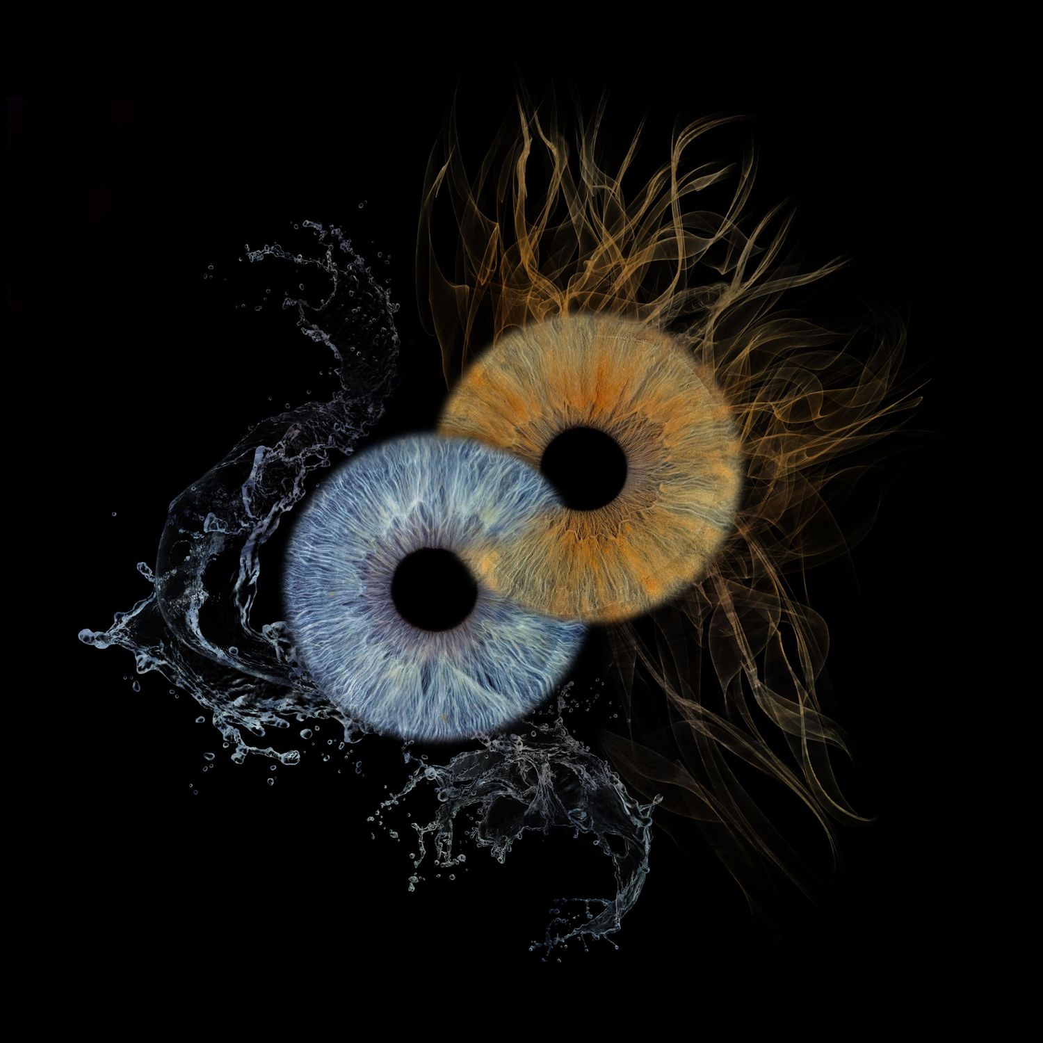 infinity family blend eye iris photo collage