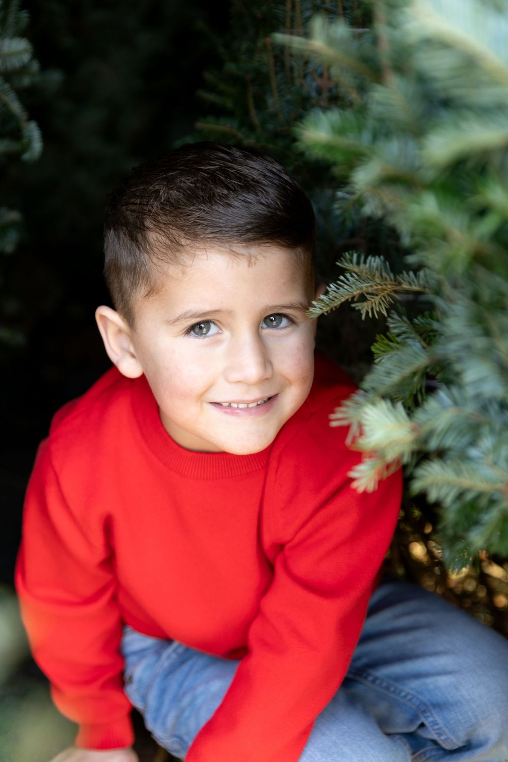 A child in a bright red sweater sits near evergreen branches in an outdoor portrait series.