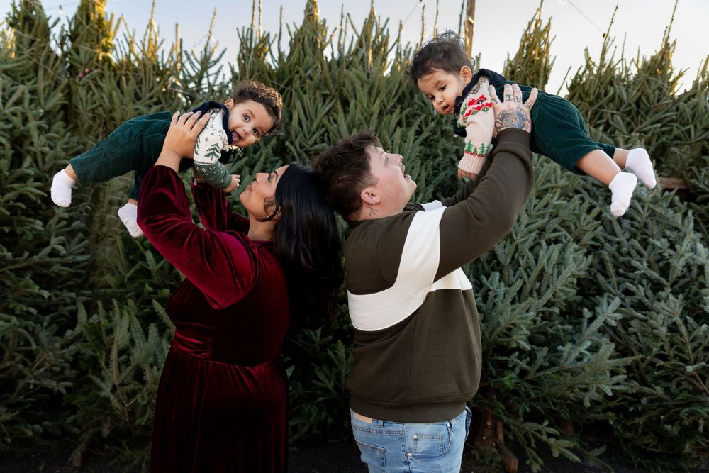 A couple shares a romantic kiss while shopping for Christmas trees at a festive tree farm lot.