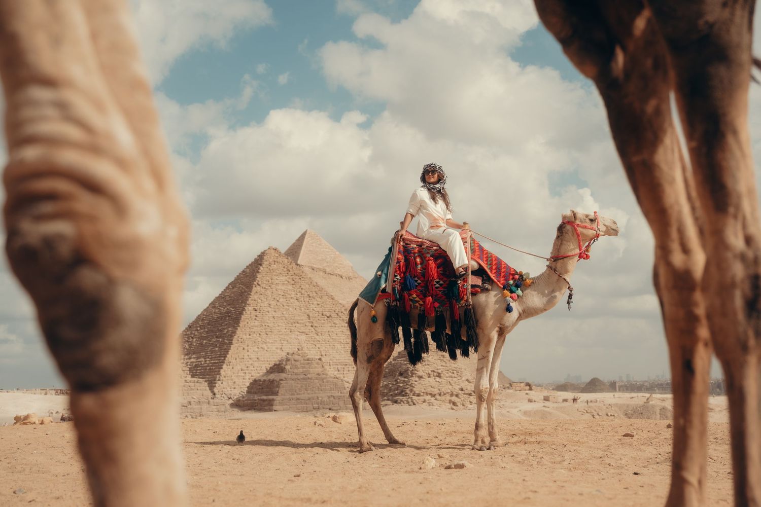 Tourists explore the ancient pyramids of Giza in Egypt while a camel waits in the foreground against golden desert sands.