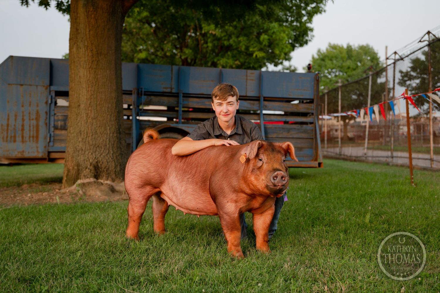 A red show pig stands in profile with its handler on a grassy area at an agricultural event.