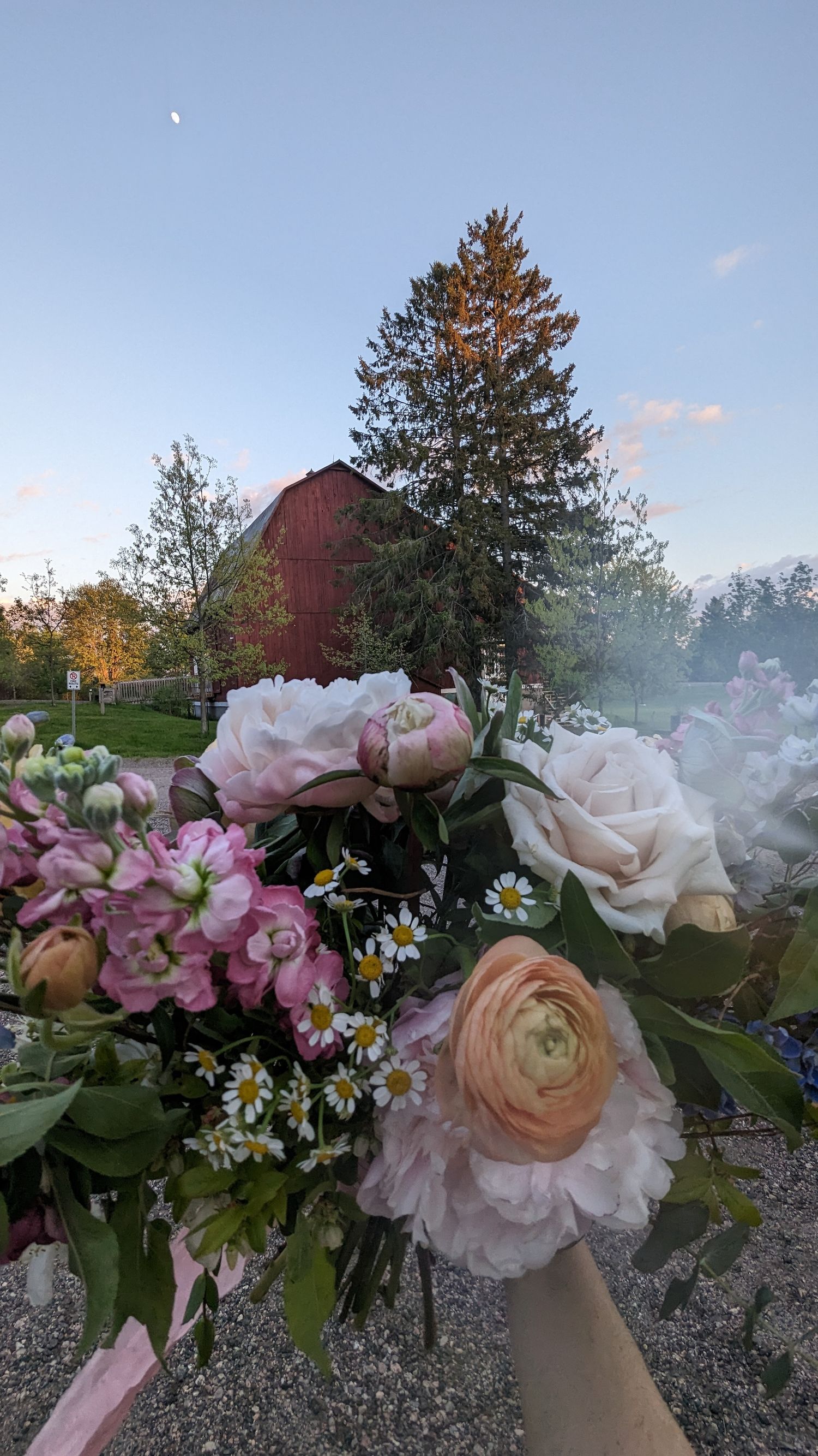 A beautiful bouquet of pink and white roses with daisies against a rustic red barn and blue sky backdrop.