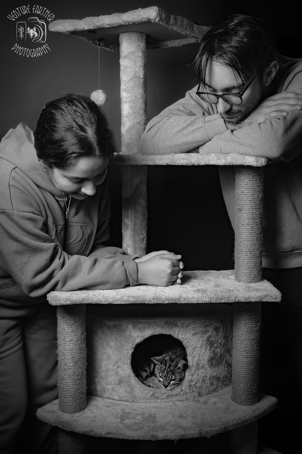 A series of black and white photos showing a cat hiding inside a cat tree while being photographed from different angles.