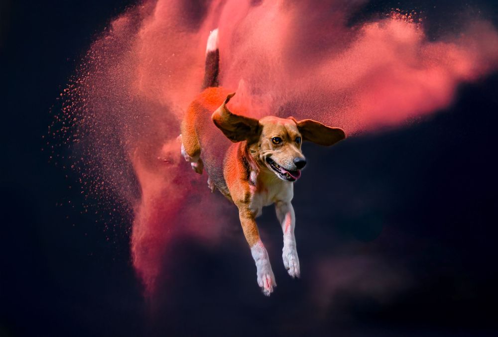 Colorful powder explosion sequence captured in six consecutive frames against a black background.