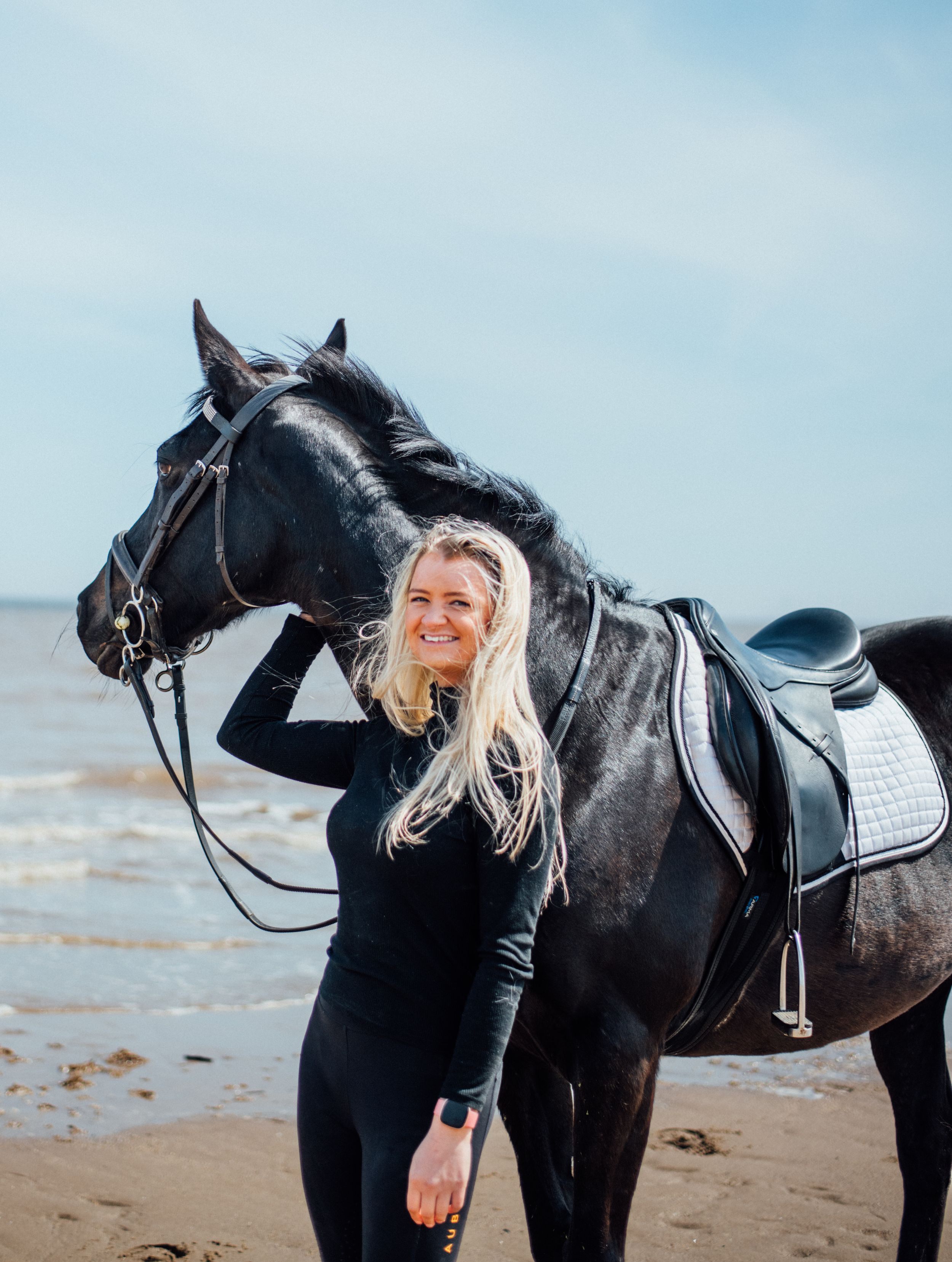 A majestic black horse with saddle stands on the beach against a blue sky background.
