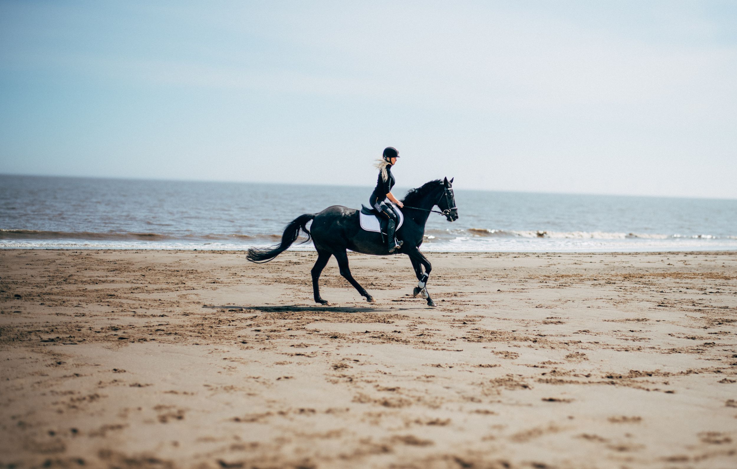 A lone rider canters gracefully across an empty beach on horseback.