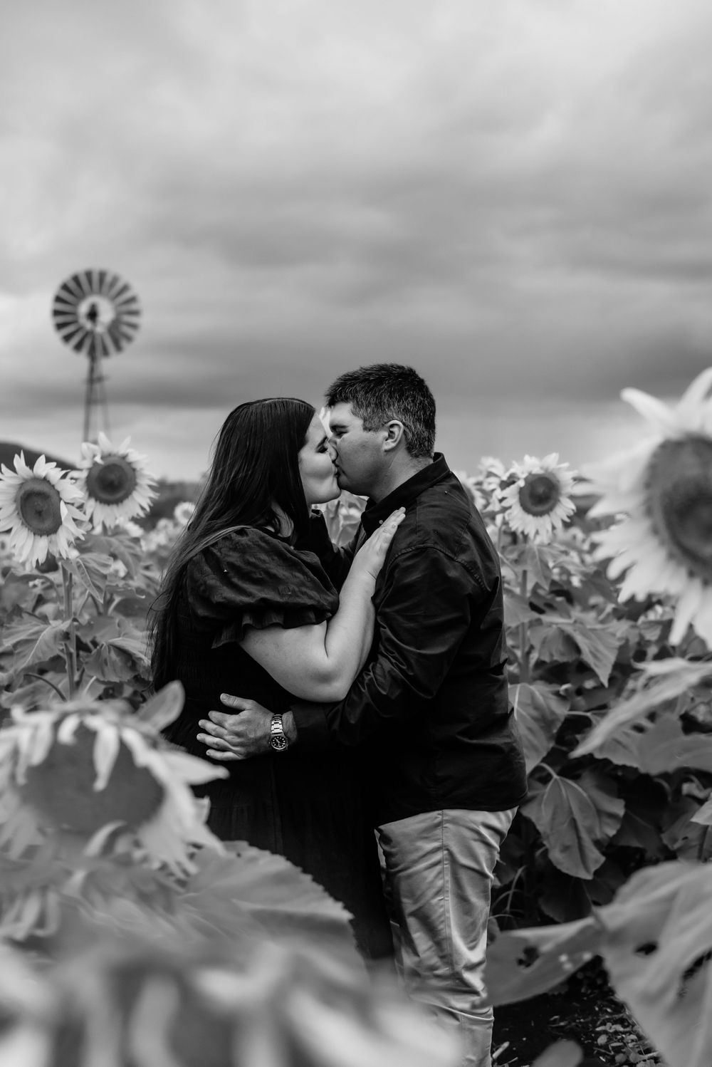 Intimate couple sharing romantic kiss among blooming sunflowers with windmill in background.