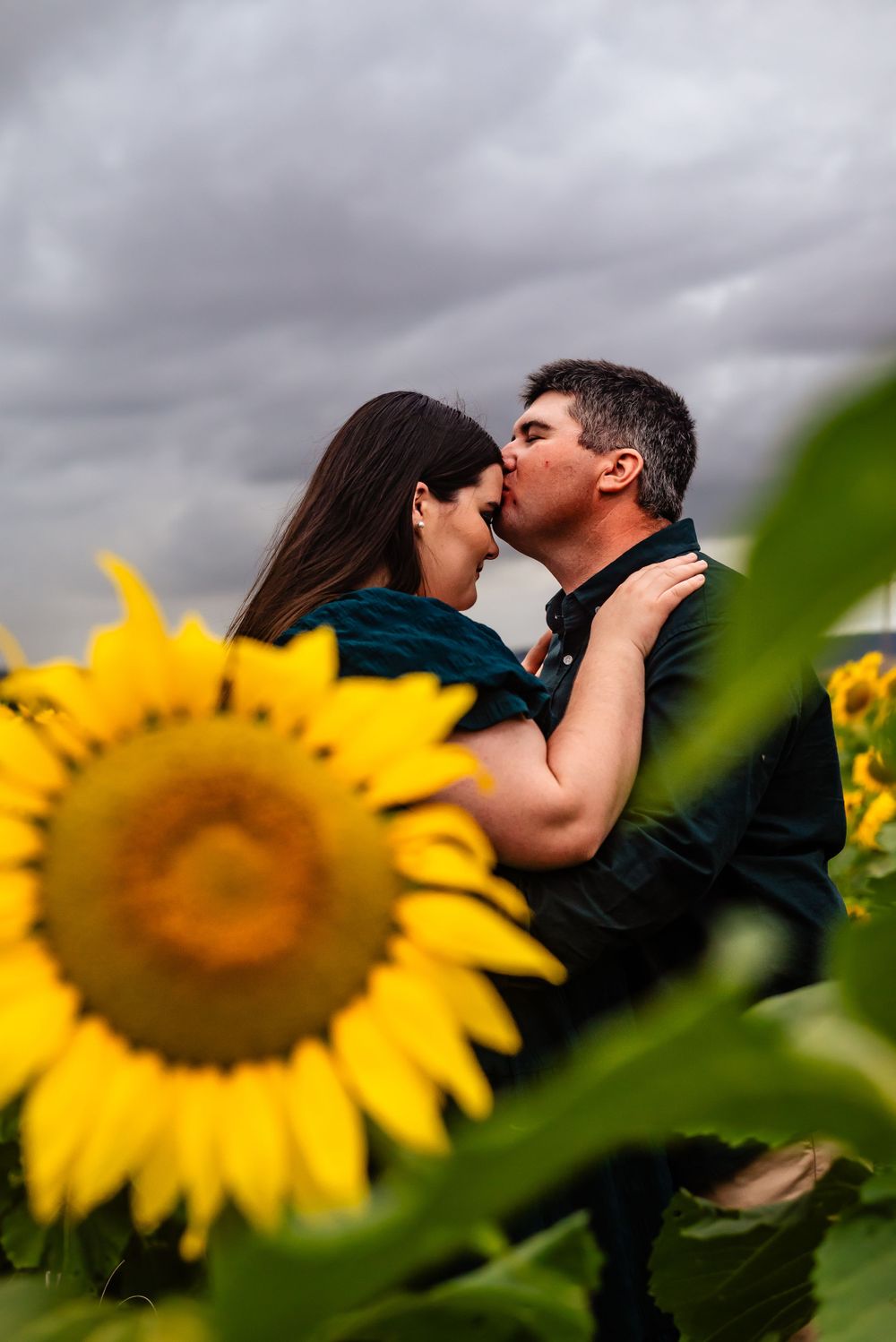 Loving couple sharing intimate kiss surrounded by vibrant yellow sunflowers under dramatic stormy sky.