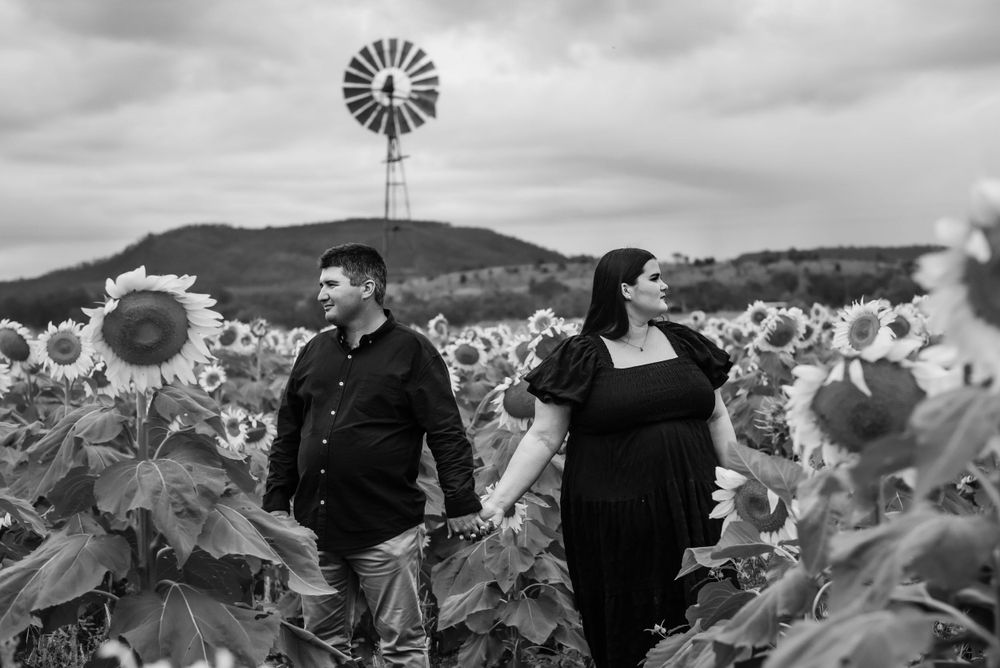 Couple exploring sunflower field with vintage windmill and mountains in black and white photography.
