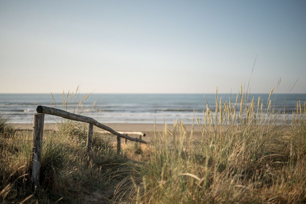 Wooden fence and beach grass overlooking a serene ocean landscape.