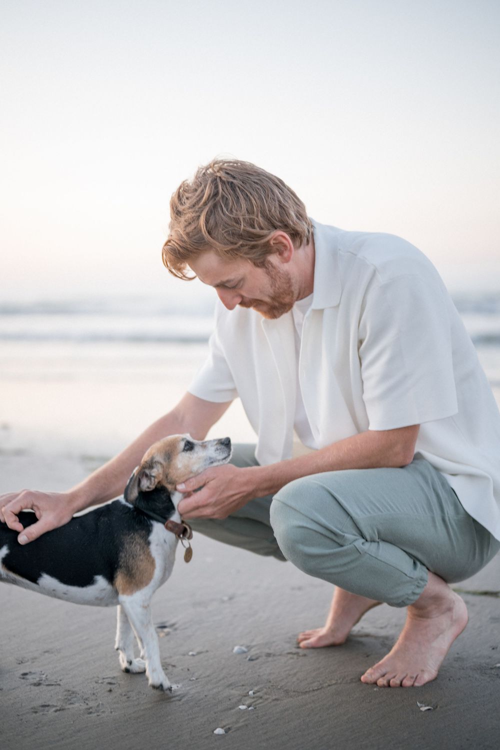 A sweet interaction between a person and a small black and white dog on a sandy beach.