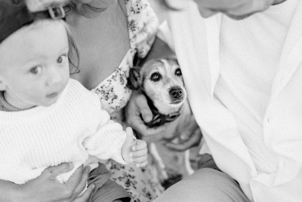 A small dog joins a family portrait session, creating a heartwarming moment.