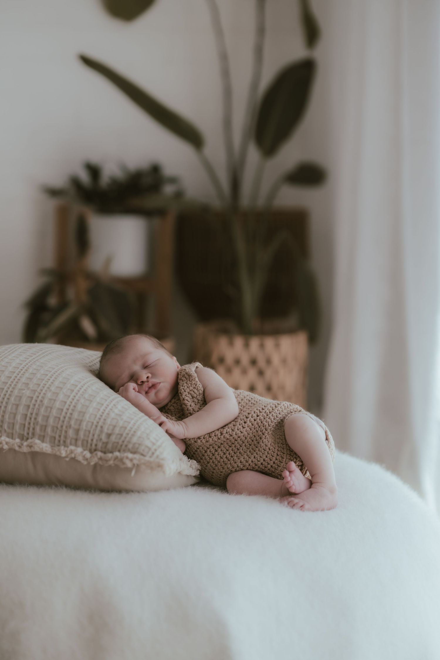 An infant dressed in knit clothing sleeps peacefully on white bedding near houseplants.