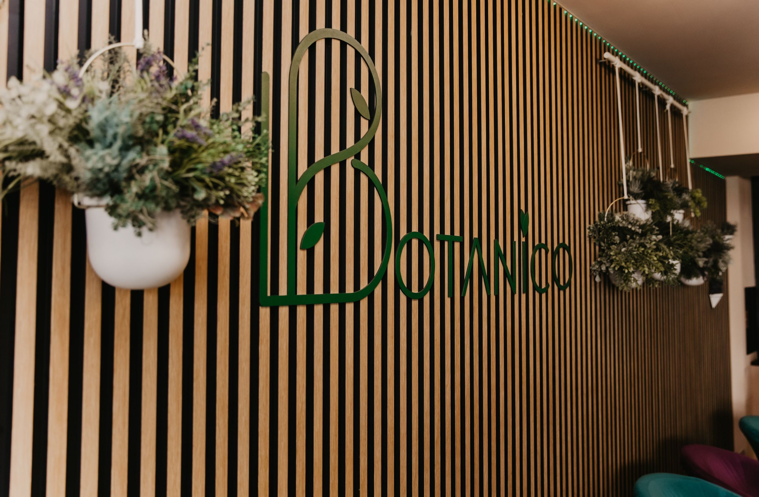 Modern interior wall with wooden slats and hanging plants featuring decorative lettering.