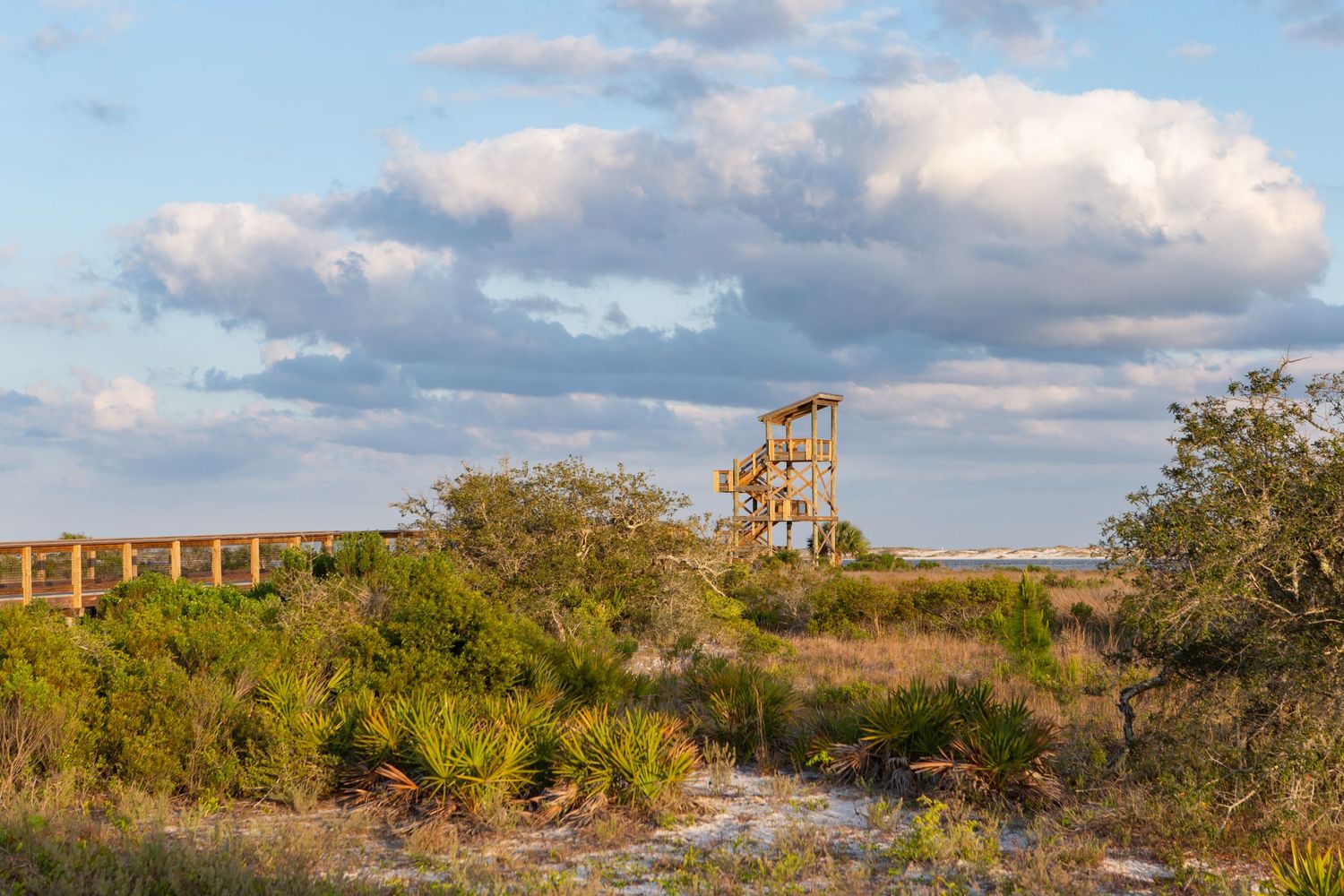 Observation tower big lagoon state park