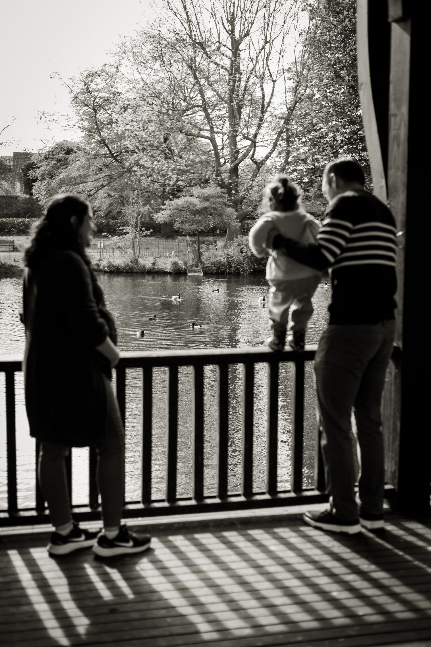Family in Broomfield park, natural and candid photography by Jane Nicholson Photography