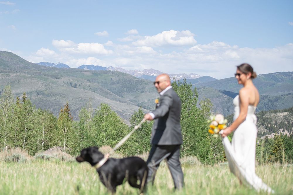 A bride and groom walk a black dog through a mountain meadow on their wedding day with scenic peaks in the background.