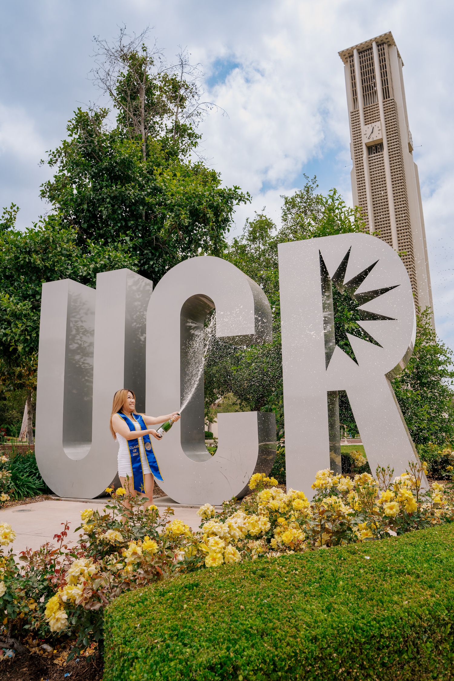 Large UCR letters stand in front of a tall bell tower at the University of California Riverside campus with yellow flowers blooming.