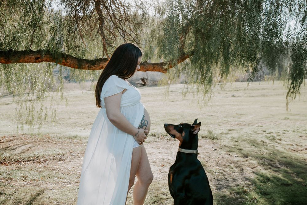 Maternity photo in nature with a black dog looking up at expectant mother in flowing white dress.